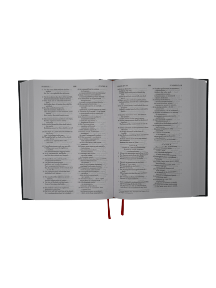 【送料込】新品未開封 スタートレック THE BIBLE 大食の愛書家 (Voracious Bibliophile) · Tarkir: Dragonstorm